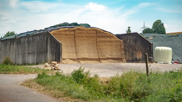 Siatki i folie rolnicze – jak zabezpieczyć zbiory przed stratami?