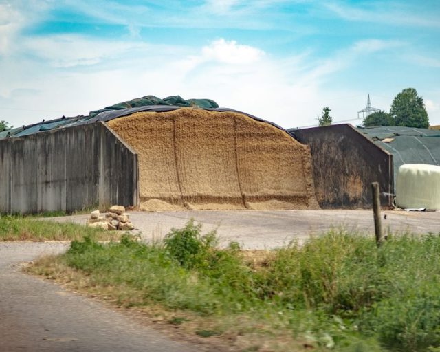 Siatki i folie rolnicze – jak zabezpieczyć zbiory przed stratami?