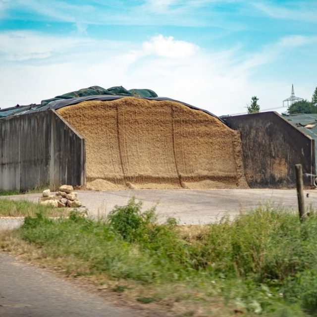 Siatki i folie rolnicze – jak zabezpieczyć zbiory przed stratami?