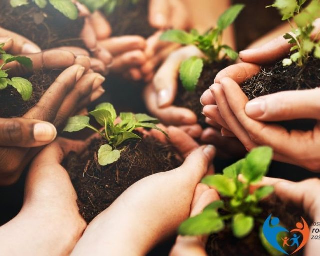 Spotkania Grupy Wsparcia dla rodzin zastępczych w Piekarach Śląskich