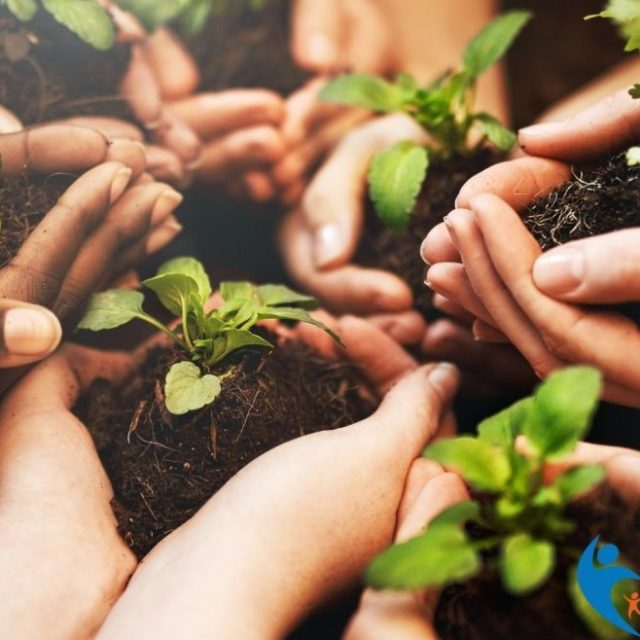 Spotkania Grupy Wsparcia dla rodzin zastępczych w Piekarach Śląskich