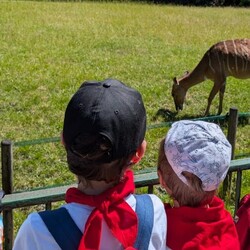 Półkolonie letnie 2025 - I turnus