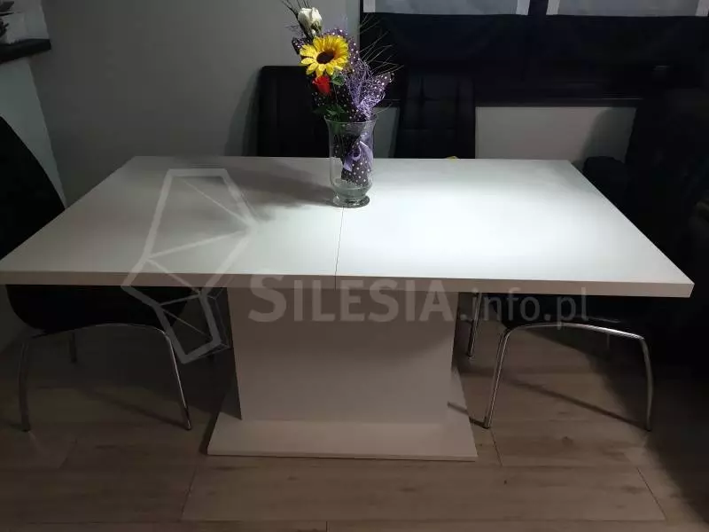 Biały matowy stół do salonu
