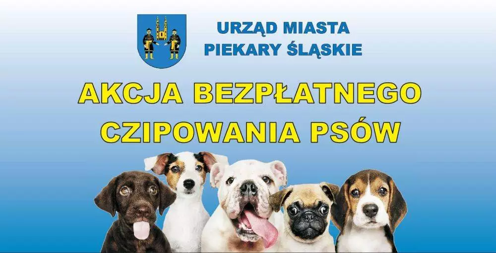 Rusza akcja bezp&#322;atnego czipowania psów