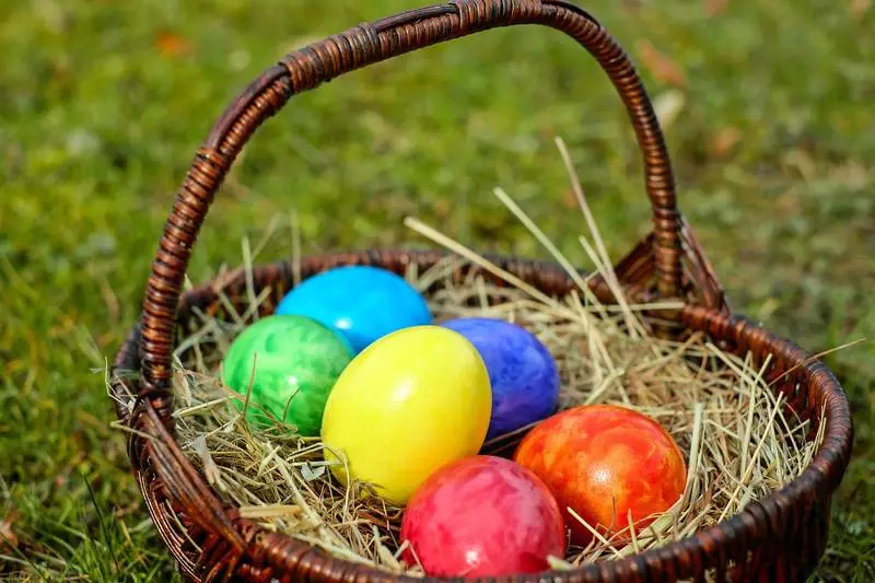 Świąteczne zbieranie jajek w Piekarach Śląskich. Sprawdź harmonogram!