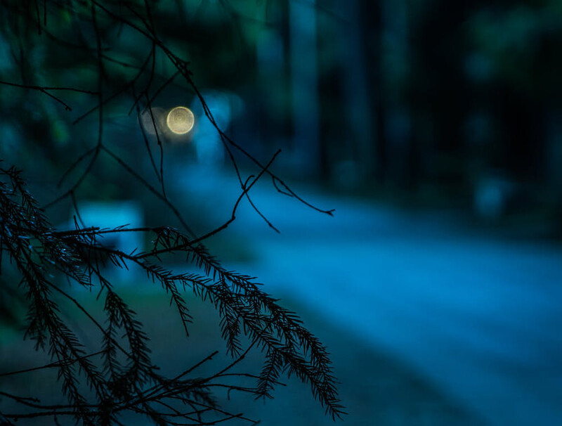 Uwaga kierowcy! Ślisko na drogach!