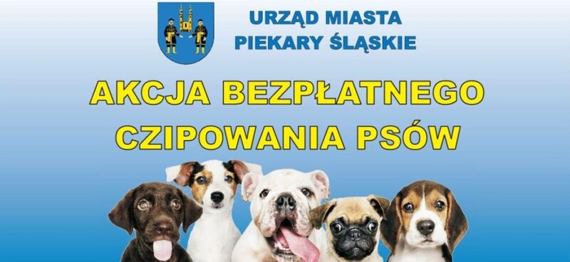 Zaczipuj swojego psa!